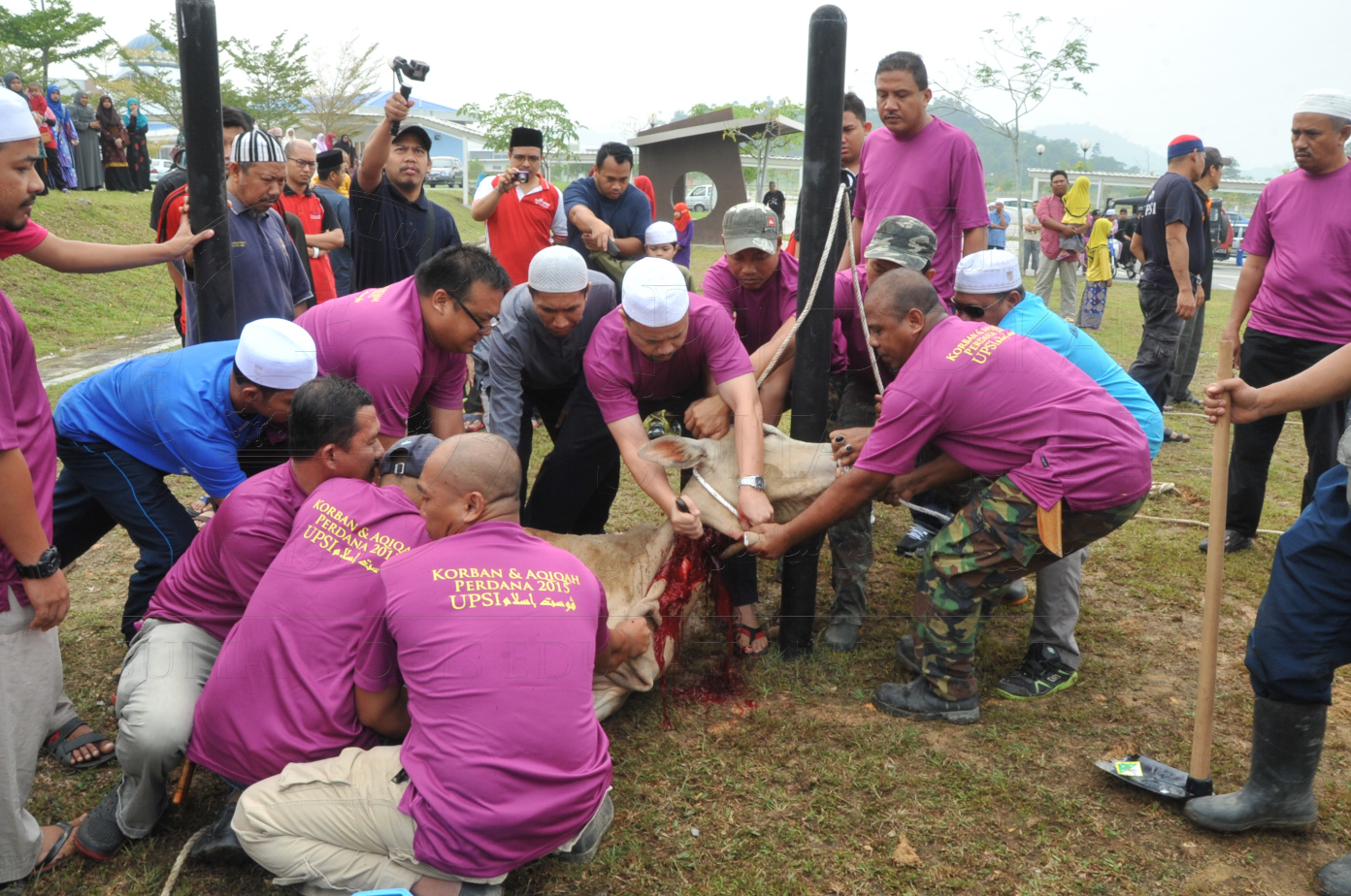 PRO15 150 KORBAN HAS 6709